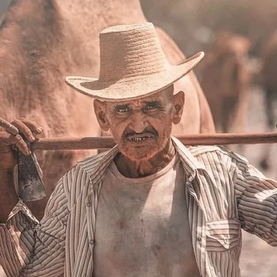وادي جازان profile