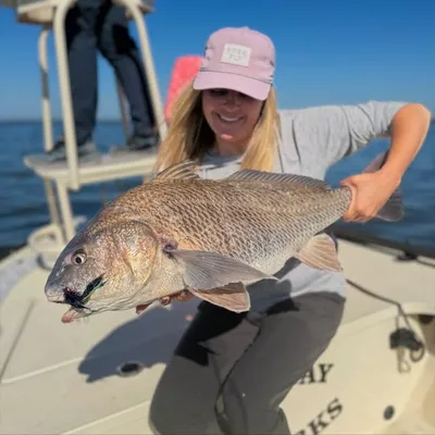 Whitney Rushton profile