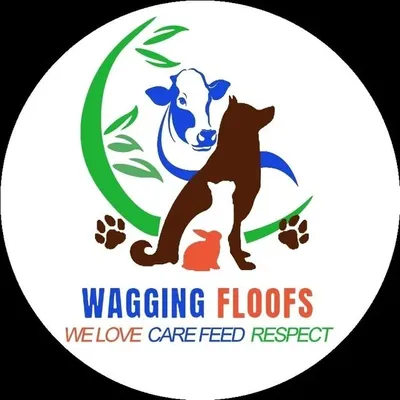 Wagging Floofs | Animal rescuer & Feeder ๐ฎ๐ณ profile