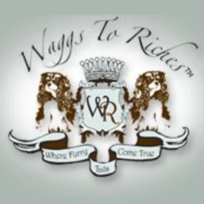 Waggs To Riches profile