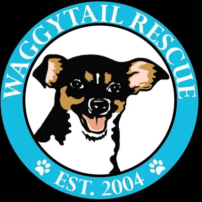Waggytail Rescue profile
