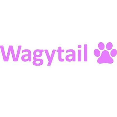 Wagytail profile