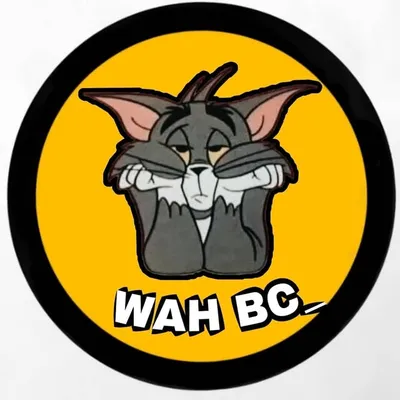wabc profile
