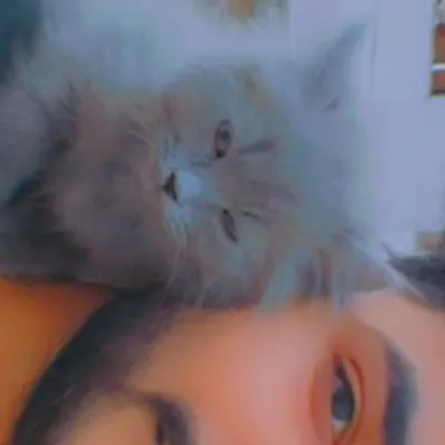 Wåhëd Pãtêl profile