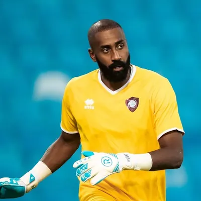 Waleed Ali profile