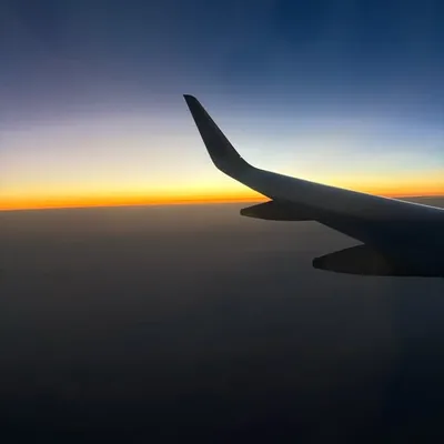 Bon Voyage profile