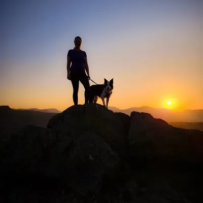 Nic & Buddy ๐พ profile