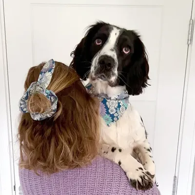 Wallace & Abi | Spaniel & mum profile