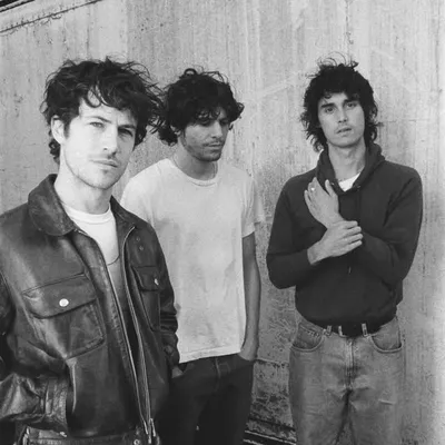 Wallows profile