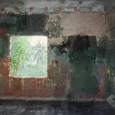 Walls & Lotuses profile