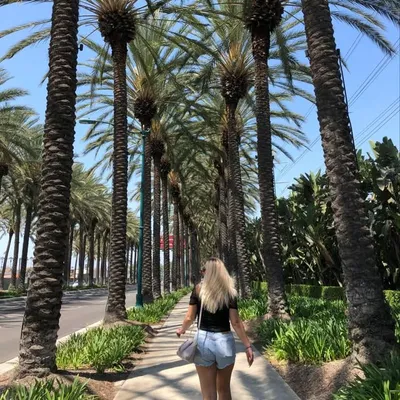 Cass ๐ป | TRAVELLER profile