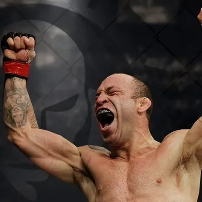 Wanderlei Silva profile