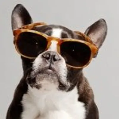 Warby Barker profile