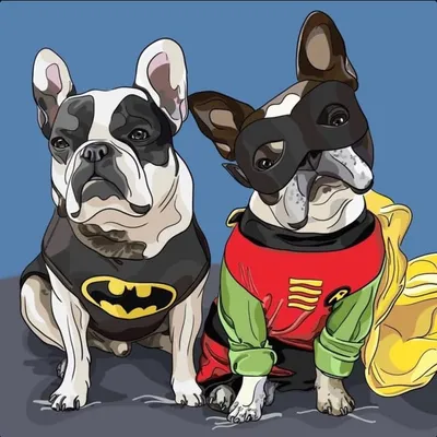 Watson & Finnegan profile