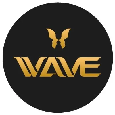 WAVE Plastic Surgery B&A profile