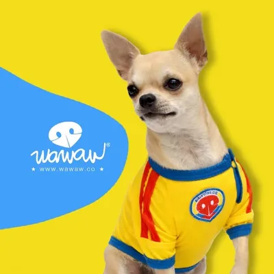 🇨🇴 Wawaw® ★ Desde 2008 profile