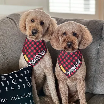 Waylon & Willie profile