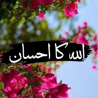 وظائف profile