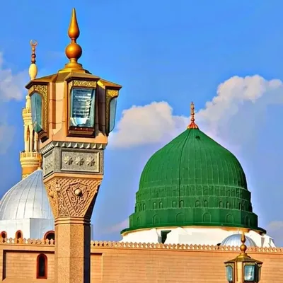 Keep Calm & Love Ummah ๐๐๐งก profile
