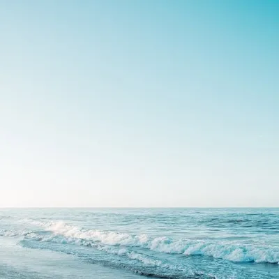 Paradise profile