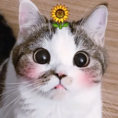 ๐๐๐๐๐๐๐๐๐๐๐ โฅ profile