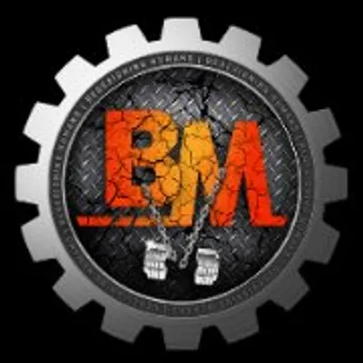 Body Mechanics profile