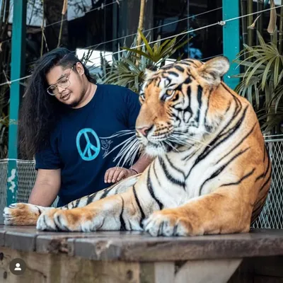 VIGNESH PRABHU profile