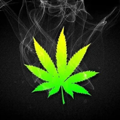 smoke weed everyday🍁 profile