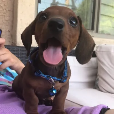 WEENIES WORLD profile