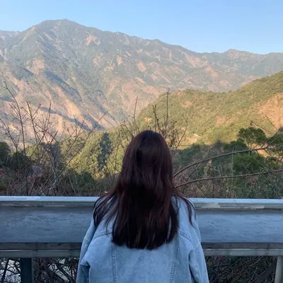 profile