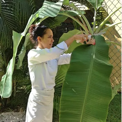 By Nat | Wellness Chef & Integrative Nutrition Therapist profile
