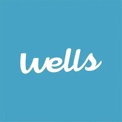 Wells profile