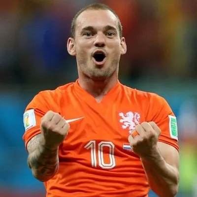 Wesley Sneijder profile