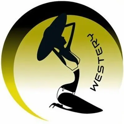 Westery Fashion | Scarves |Stoles|Dresses|Shirts profile