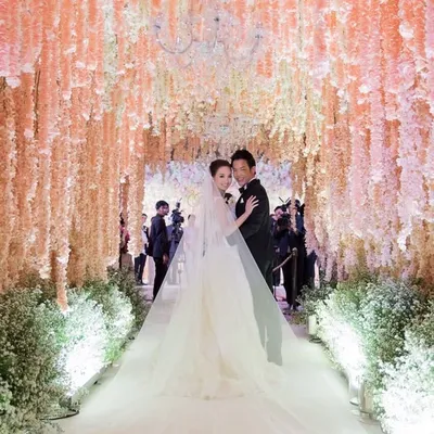 wethewedding profile