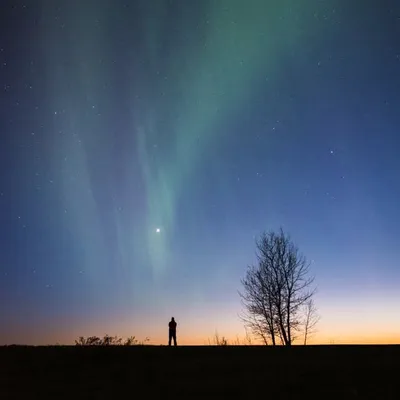 Jeff Wallace • Alberta profile
