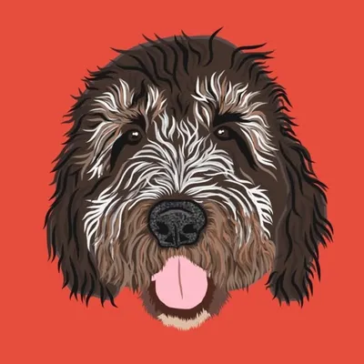 Whiskey Popono Leon profile