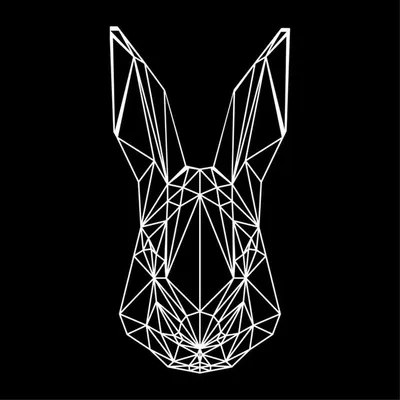 White Rabbit profile