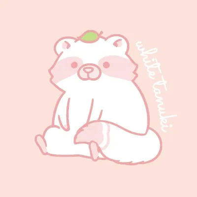 White Tanuki Accessories profile
