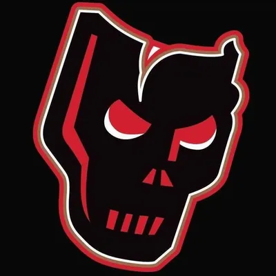Calgary Hitmen profile