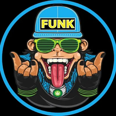 WhoFunkYou🔷 profile