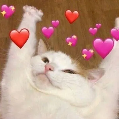 Wholesome Memes profile