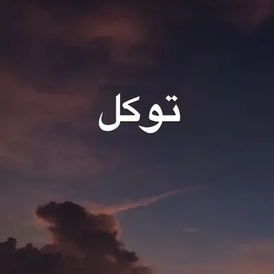 صقر حسين profile