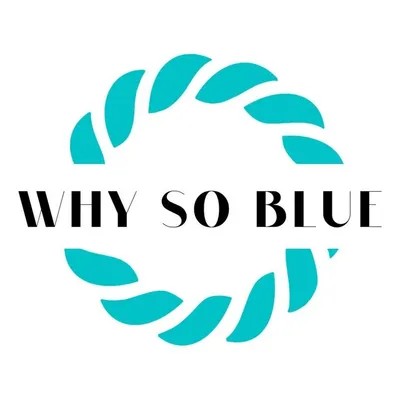 WhySoBlue - Sustainable Clothing profile