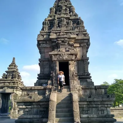 Widha profile
