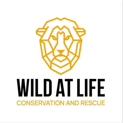 Wild at Life - Asli Han Gedik profile