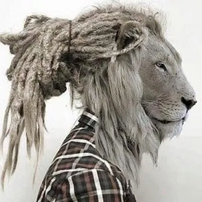 WILD SIDE of ELEGANCE profile