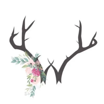 Wilderly Bakery profile