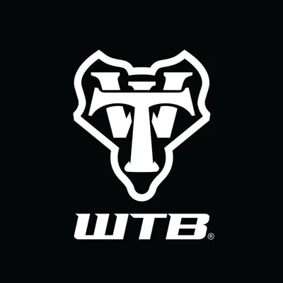 WTB (Wilderness Trail Bikes) profile