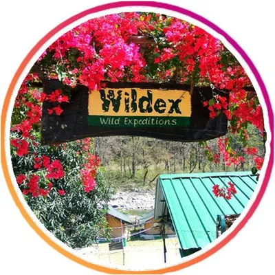 Wildex Adventures profile